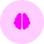 icon1