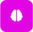 icon1