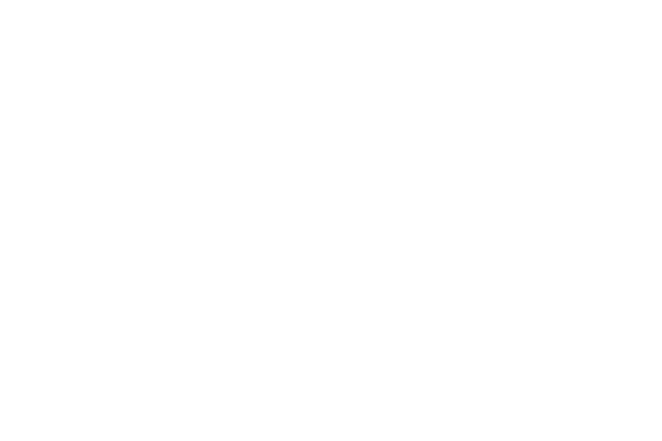 Novbliss